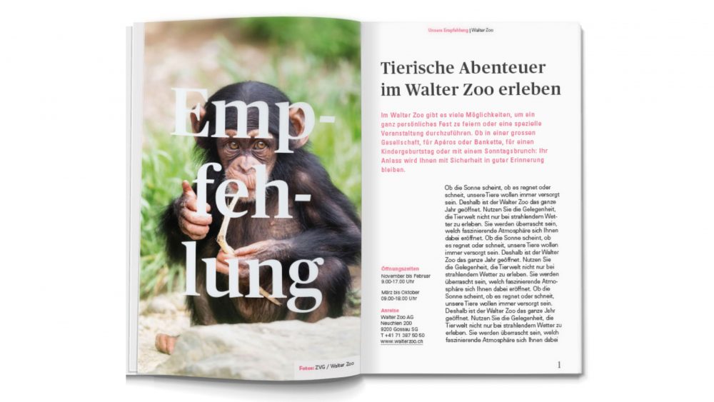 Fritig-Präsentation-3